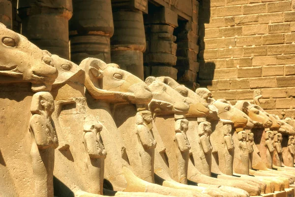 Antiche Rovine Del Tempio Karnak Luxor Tebe Egitto Più Grande — Foto Stock