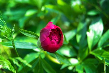Beyaz kumaş arka planının soyut ve yumuşak odak dalgası, beyaz doku ve detay
