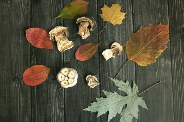 Kurutulmuş mantar, sarımsak ve balkabağı ile sonbahar arkaplanı. Kuru ağaç yaprakları. Doğal ahşap arka plan. Düz yatış, üst görünüm.