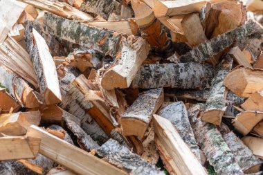 Kırık huş ağacı yakacak odun yığını. Bir odun yığını. Rusya