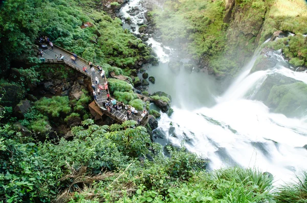 Iguasu falls — Stock Photo, Image