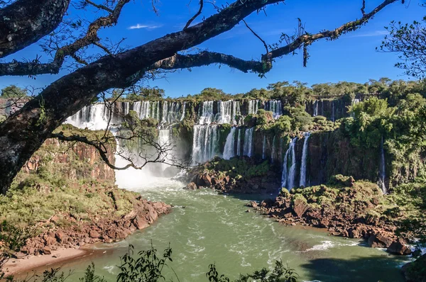 Iguasu vízesés — Stock Fotó