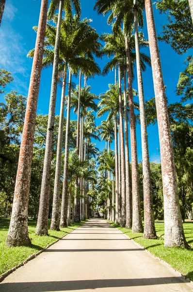 Brasil — Fotografia de Stock