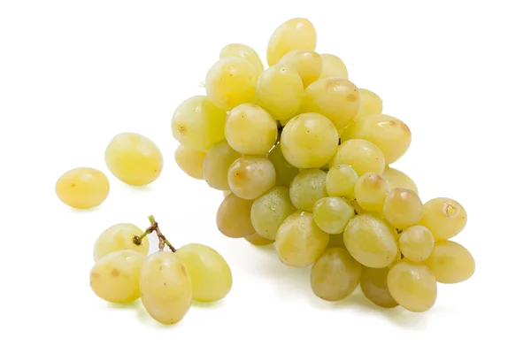 Olgun beyaz üzümler