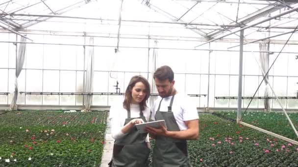 Фермери в теплиці з використанням планшета — стокове відео