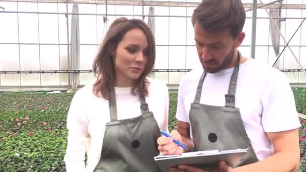 Agricultores en un invernadero usando tableta — Vídeos de Stock