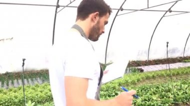 bir serada çalışan çiftçi