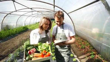 Bir tablet üzerinde çalışan çiftçi
