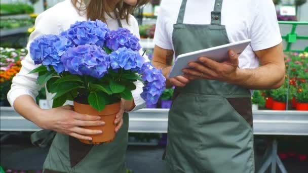 Floristas trabalhando juntos — Vídeo de Stock