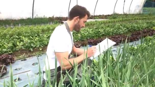 Agricultor trabajando en un invernadero — Vídeo de stock