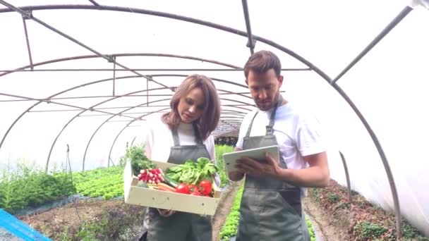 Agricultores trabalhando em um tablet — Vídeo de Stock