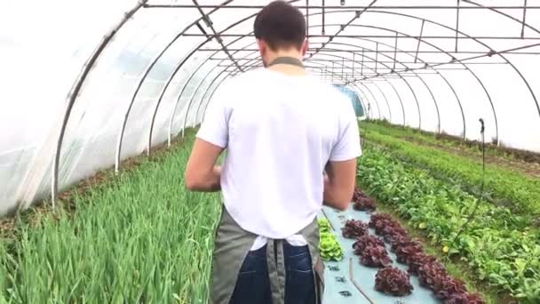 Mezőgazdasági termelő dolgozik az üvegházhatást okozó — Stock videók