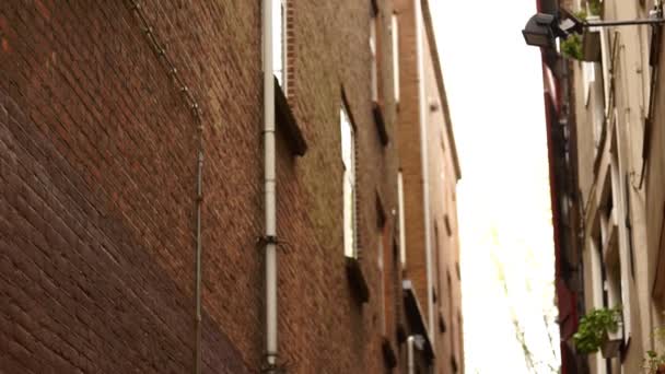 Hollanda Amsterdam sokak — Stok video