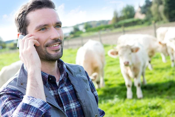 Joven agricultor atractivo utilizando el teléfono móvil en un campo —  Fotos de Stock