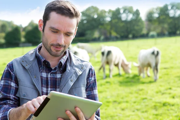 Fiatal, vonzó farmer tabletta segítségével egy mezőben — Stock Fotó