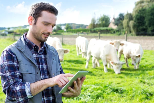 Jonge aantrekkelijke landbouwproducent met gebruikmaking van Tablet PC in een veld Stockafbeelding
