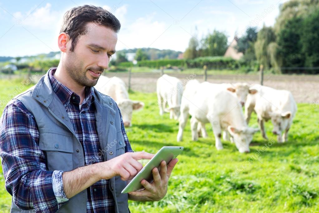 Young attractive farmer using tablet in a field