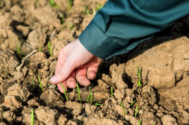 El bir çiftçinin dünya kontrol