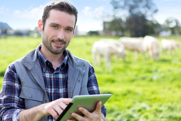 Young attractive farmer using tablet in a field