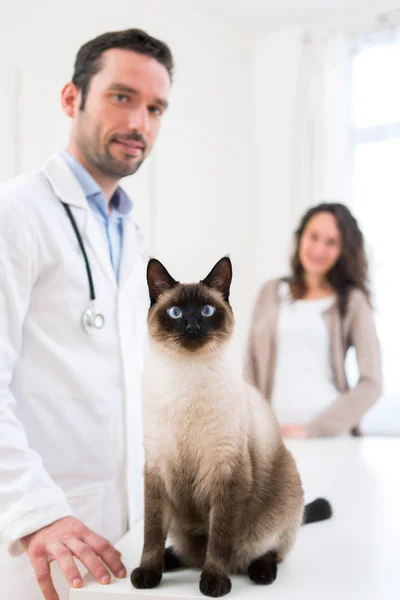 Joven atractiva mujer y su gato en veterinario — Foto de Stock