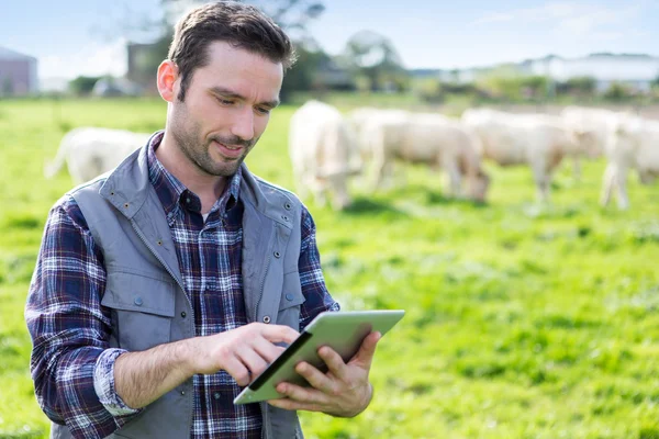 Fiatal, vonzó farmer tabletta segítségével egy mezőben — Stock Fotó