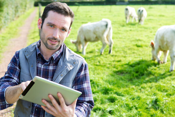 Young attractive farmer using tablet in a field