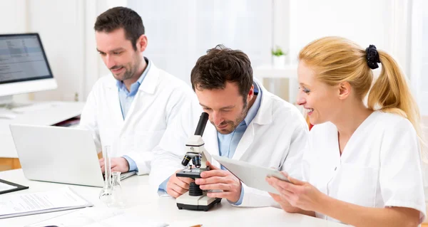 Equipe de cientistas trabalhando juntos no laboratório — Fotografia de Stock