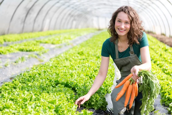 Giovane agricoltore attraente che raccoglie carote — Foto Stock