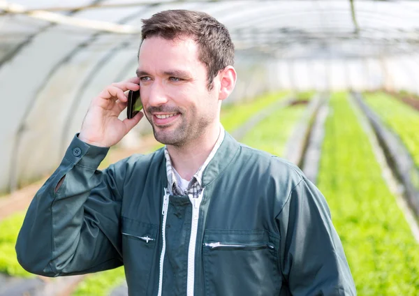 Portrét atraktivní farmář v skleníkových pomocí mobilní — Stock fotografie