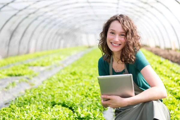 Porträtt av en attraktiv jordbrukare i ett växthus med hjälp av Tablet PC — Stockfoto