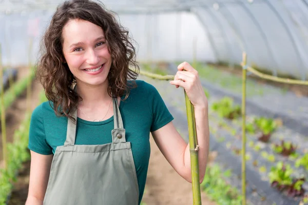 Portrait d'un fermier attrayant dans une serre — Photo