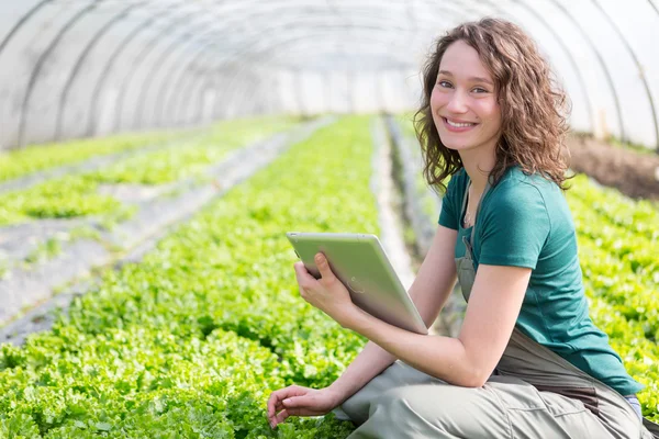 Retrato de un agricultor atractivo en un invernadero usando tableta — Foto de Stock