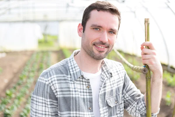 Portrait of an attractive farmer in a greenhouse — Stock Photo, Image