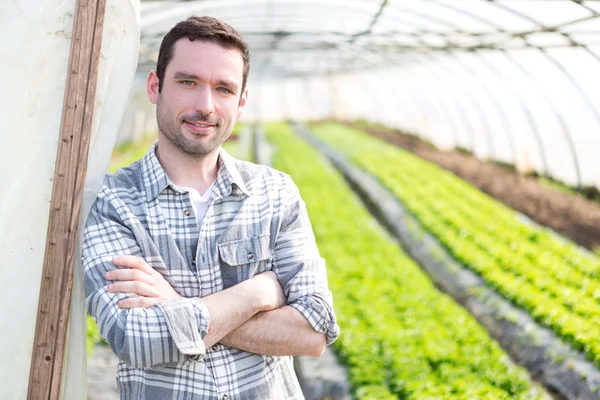 Retrato de un agricultor atractivo en un invernadero — Foto de Stock