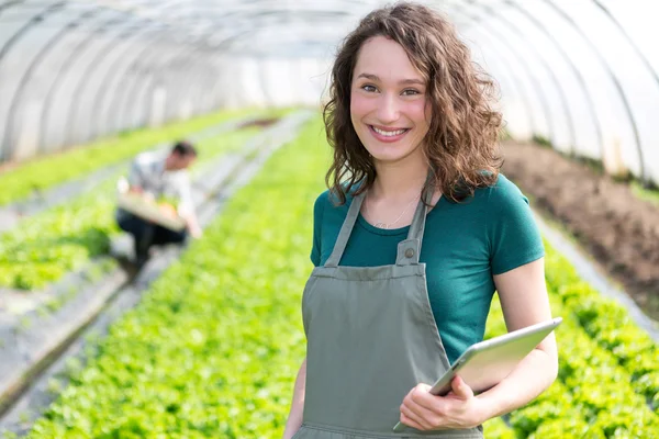 Retrato de um agricultor atraente em estufa usando tablet — Fotografia de Stock