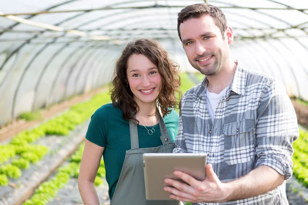 Agricoltori che guardano statistiche su tablet — Foto Stock