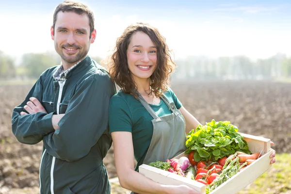 Équipe d'agriculteurs au travail dans un champ — Photo