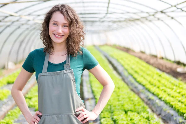 Ritratto di un agricoltore attraente in serra — Foto Stock