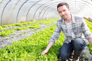 bir sera çekici bir çiftçi portresi