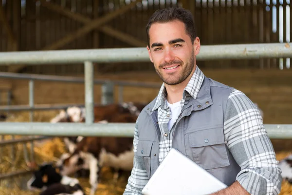 Joven agricultor atractivo en un granero con ternera en el fondo — Foto de Stock