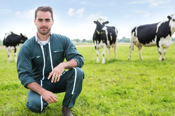 Retrato de un joven agricultor atractivo en un pasto con vacas —  Fotos de Stock