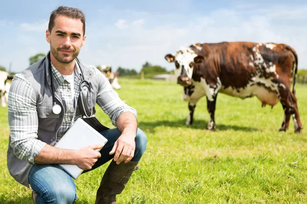 Portrait of a Young attractive veterinary in a pasture with cows