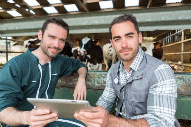 Farmer and veterinary working together in a barn clipart