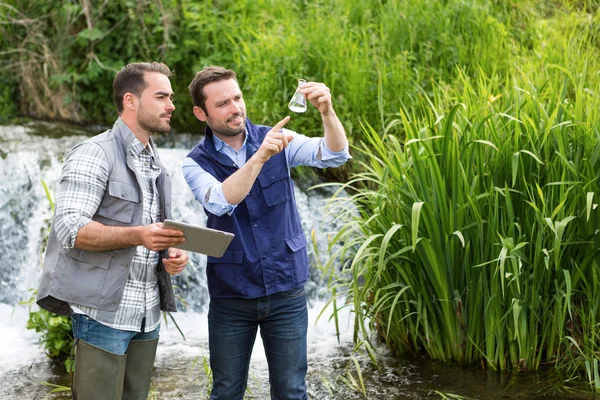 Syn på en forskare och biolog arbetar tillsammans med vattenanalys科学者と生物学者一緒に取り組んで水分析 — ストック写真