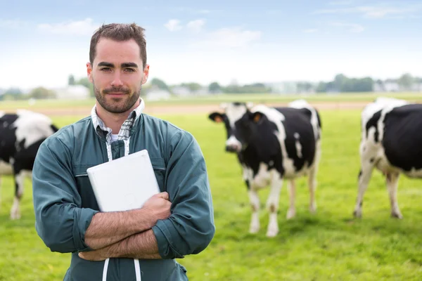 Ritratto di un giovane agricoltore attraente in un pascolo con mucche — Foto Stock