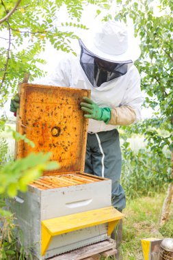 Onun arı kovanı Bahçe üzerinde arıcı