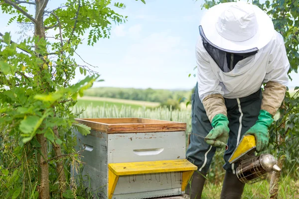 Пчеловод работает над своими ульями в саду — стоковое фото