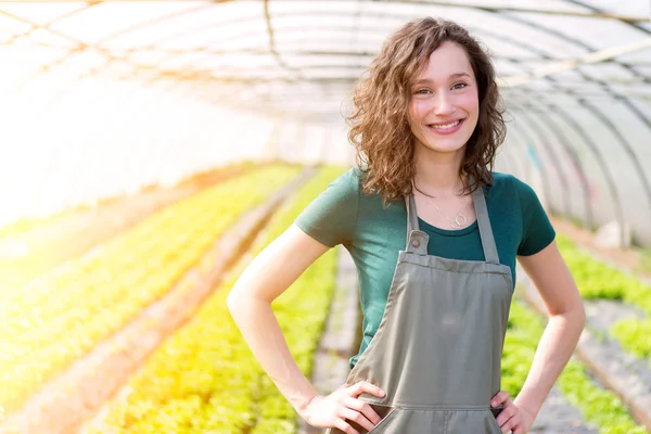 Joven mujer atractiva cosechando vegetales en un invernadero —  Fotos de Stock
