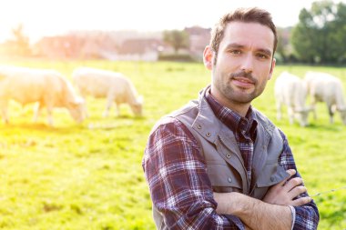 İnekler bir alana genç çekici çiftçi