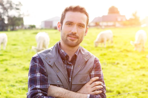 Jovem agricultor atraente em um campo com vacas — Fotografia de Stock